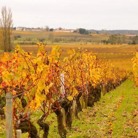 Villa La Maison Du Vignoble *